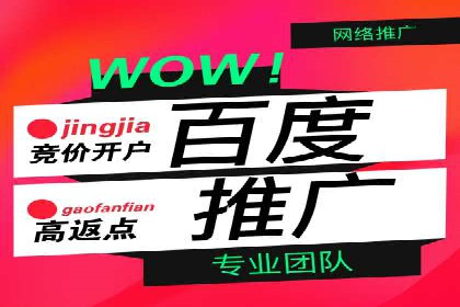 竞价广告的投放策略与网络推广的实践案例